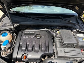 Audi A3 2.0 TDI [orig. BEZ DPF] - 19