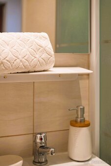 PRENÁJOM 1 i byt - Nad Jazerom - 19