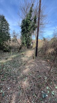 Záhradné služby, likvidácia odpadu - 19