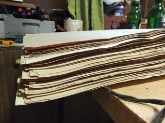 Starožitný Herbár 1892 , 392 exemplárov rastlín - 19