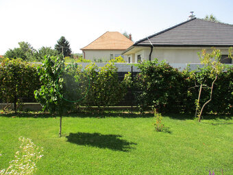 Canon IXUS 185 červený - 19