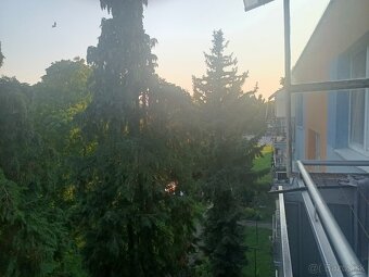 Predaj 3 izb byt Nitra Chrenová 1 Lomnická ul. - 19