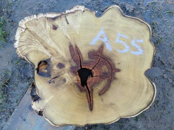 Atypické a nadrozmerné fošne a koláče, orechové drevo - 19