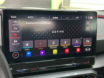 Cupra Formentor 2.0 TDI 4x4 - 19