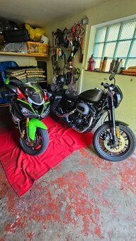 HARLEY DAVIDSON ROADSTER 1200 - 19