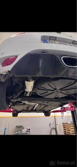 Renault Megane rs250 cup - 19