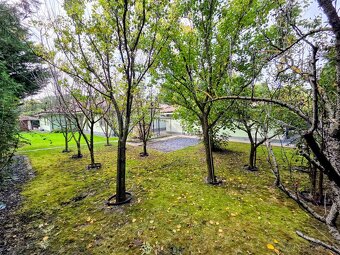 rodinný dom / vila MASLOVCE ( ČENKOVCE / OĽDZA ) 20 á pozemo - 19