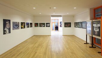 Fotografie motýľov, zarámované, 96 x66 (101 x 70) cm - 19