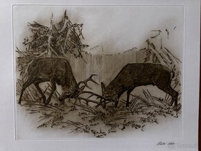 Ales Vaic - lesnicka tematiky - 19