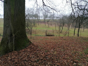 STAVEBNÝ POZEMOK PRI POTOKU 1963 m2 BRESTOVEC okres MYJAVA - 19