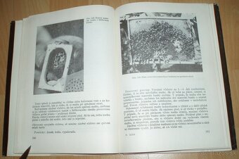 Práce včelára - 19