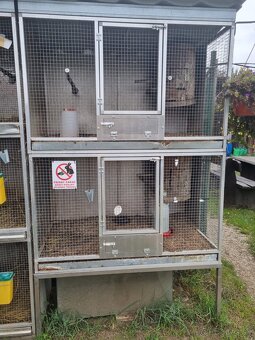 Hlinikové voliéry,klietky pre papagáje - 19