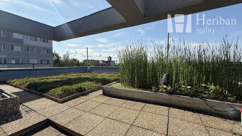 Kancelárie na prenájom pre projektantov v Košiciach - 19