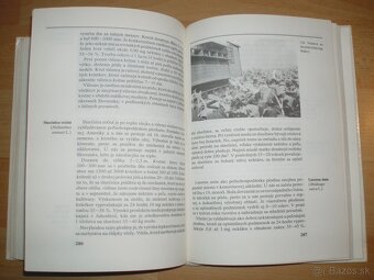 Abeceda včelára - 19