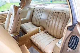 Pontiac Firebird  1977 - 19