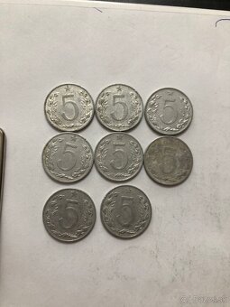 Mince 10 - 19