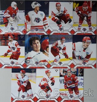 Hokejové kartičky TIPOS EXTRALIGA 2024/2025  HK 32 L.MIKULAŠ - 19