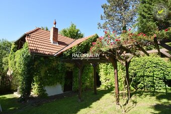 HALO reality - Predaj, chalupa Jedľové Kostoľany - EXKLUZÍVN - 19