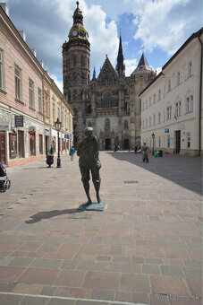 Investičná príležitosť v „Zlatom kríži“ - Košice - 19