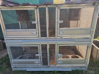 Voliéry..Klietky.Zajačník - 19
