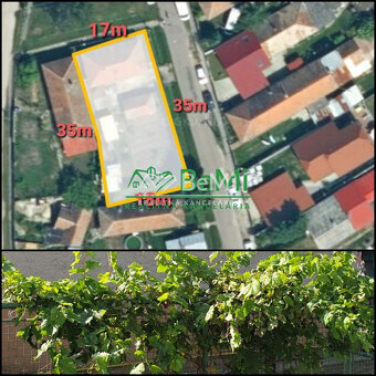 Rodinný DOM  so záhradou...573m2... Vinodol (155-12-DARE) - 19