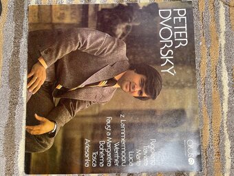 Predam LP vinylove - 19