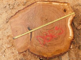 Koláče -  orechové drevo, fošne, rezivo - 19
