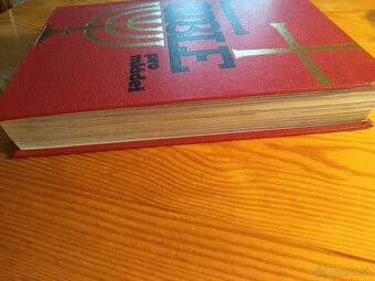 Biblie pre deti ilustrovana - 45 eur - 19