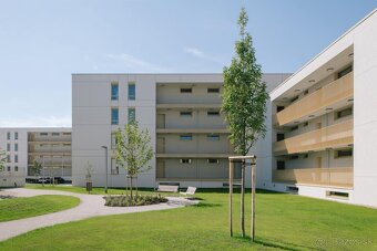 NEO / PRENÁJOM / CUKROVAR TRNAVA / Štýlový 2,5izbový byt v n - 19