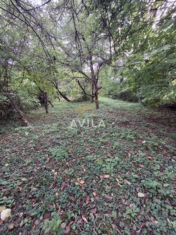 Predaj chalupy s pozemkom 1616m2 v obci Prašník – časť Grnča - 19