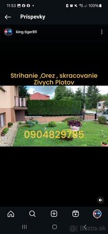 Kosenie ,mulcovanie ,Topoľčany, Nitra, Partizánske, Bánovce, - 19