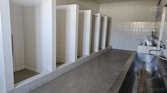 Prenájom výrobnej haly s mostovým žeriavom na 8 a 5 ton v Ni - 19