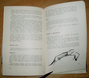 Lovecké praktikum - 19