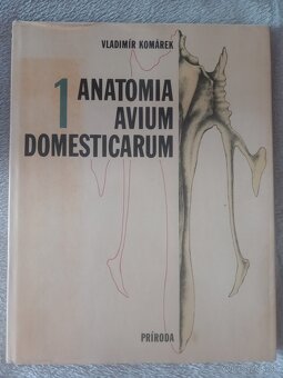 Skriptá, knihy - veterinárna medicína - 19