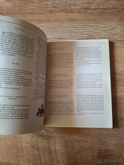 Retro hokejová kniha - 19