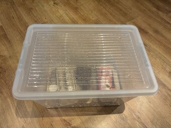 Terárium s chameleónom - 19