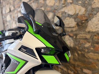 Kawasaki zx10r - 19