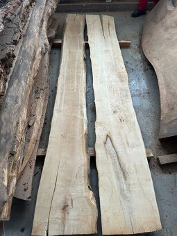 Vysušené javorové fošne, javor horský - 19