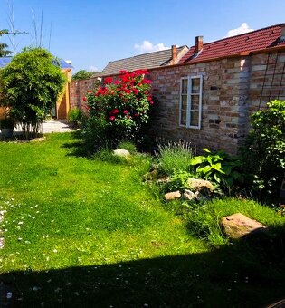 Dom pod storočnou hruškou - 19