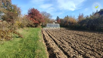 HALO reality - Predaj, rodinný dom Partizánske, Veľké Bielic - 19