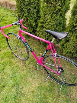 F.Moser Team SLX - 19