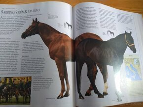 Obrazová encyklopedie koní (česky) - 20 eur - 19
