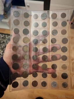 Mince - 19