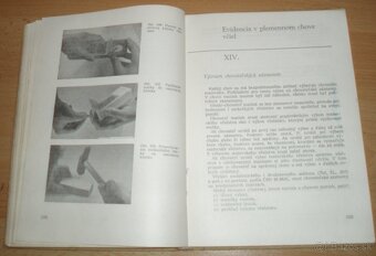 Chov včelích matiek - 19
