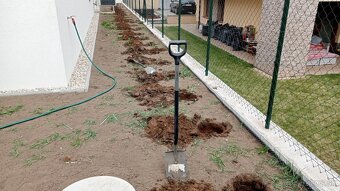 Tuja Smaragd, vavrínovec, červienka - Liptovský Mikuláš - 19