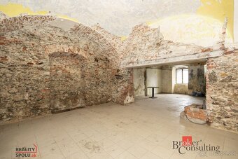 EXKLUZÍVNA HISTORICKÁ NEHNUTEĽNOSŤ V CENTRE BREZNA - 19