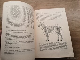 Živočíšna výroba I. + Všeobecné základy živočíšnej výroby - 19