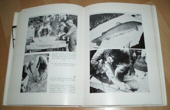 Hlavátka - 19