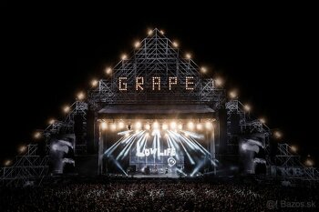 Grape festival 2024: 90