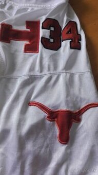 TEXAS LONGHORST